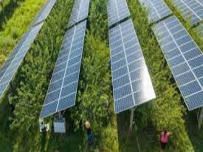 DỰ ÁN KHU CÔNG NGHIỆP TÂN BÌNH (LOTECO) 12MWP