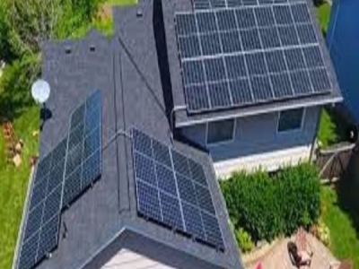 DỰ ÁN TRẠI NUÔI TRÙN QUẾ VĨNH AN