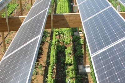 Lắp Đặt Hệ Thống Điện Năng Lượng Cho Gia Đình, Doanh Nghiệp Tại Đắk Nông