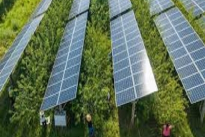 Thiết bị hòa lưới inverter